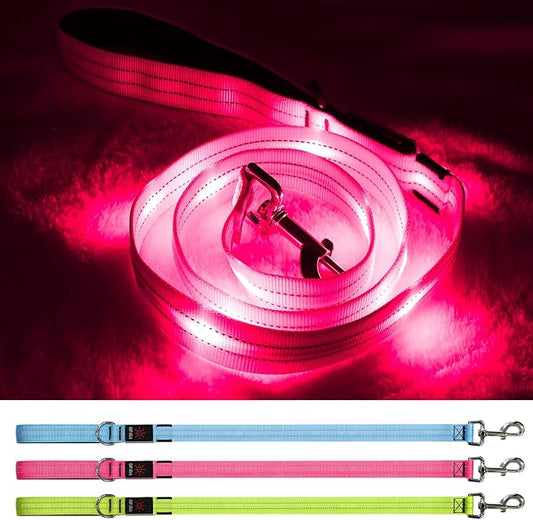 Led Dog Leash, 4 Ft Light Up Dog Leash Rechargeable Waterproof, Nylon Reflective Leashes with Padded Handle for Night Walking, Safety Glow in The Dark Dog Leash for Large Medium Small Pets