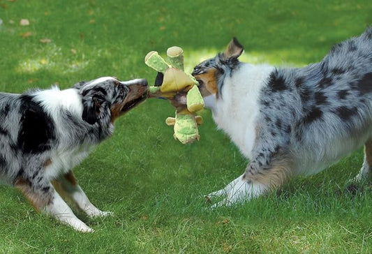goDog Bubble Plush Dragons Squeaky Dog Toy, Chew Guard Technology - Lime, Large