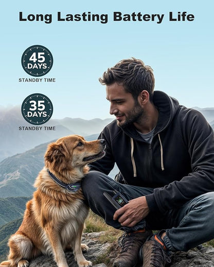 Jugbow Dog Shock Collar - 4200FT Dog Training Collar with Remote for 5-120lbs Small Medium Large Dogs, IPX8 Waterproof E Collar with 4 Training Modes, Security Lock, Rechargeable Shock Collar