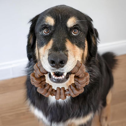 Nylabone Textured Ring Strong Chew Toy for Dogs Made with Real Beef & Chicken, Durable Dog Chew Bones for Aggressive Chewers, Keeps Dogs Busy, X-Large Dog Toys - 50+ lbs, 1 Count