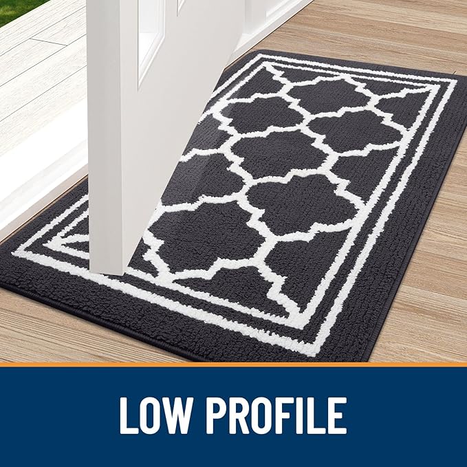 Buganda Large Indoor Door Mat, Dirt-Resistant and Absorbent Doormat, Anti-Slip, Low Profile Floor Mats for Inside Entryway, Front, and Back Door Entrance (59x35 Inches, Dark Grey)