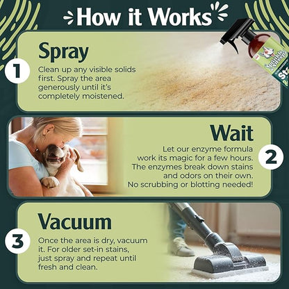 Sprinkle & Sweep: Pet Stain & Odor Enzyme Spray - 32oz, 2 Pack - No Scrubbing Concentrated Formula, Dog & Cat Urine Destroyer, Carpet Spot Cleaning