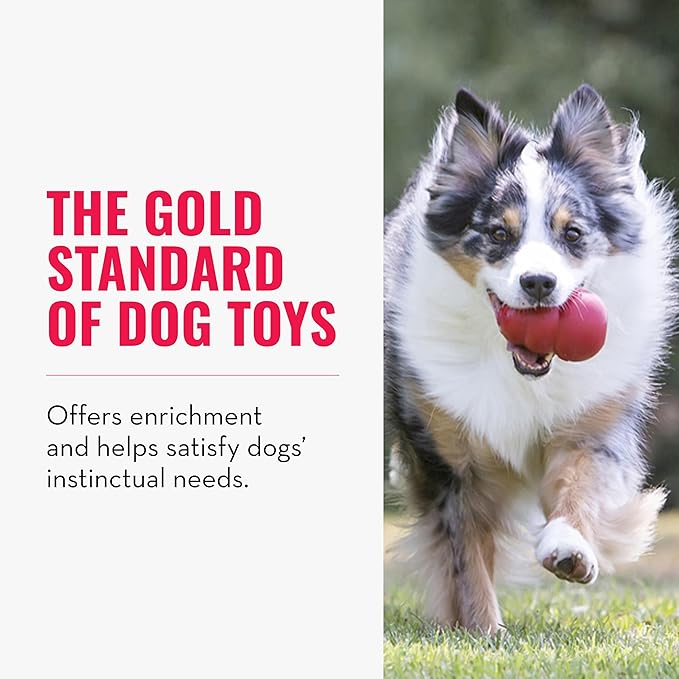 KONG Classic Stuffable Dog Toy - Fetch & Chew Toy for Dogs - Treat-Filling Capabilities & Erratic Bounce for Extended Play Time - Durable Natural Rubber Material - for Large Dogs
