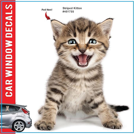 LEMONSODA Cat Car Window Decals Funny 3D Weatherproof Decals (Striped Kitten)