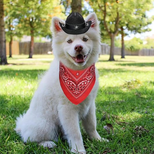 GOYOSWA Dog Halloween Costumes, Dog Cowboy Costume Halloween Pet Cowboy Hat Bandana Scarf for Small Medium Large Dogs Pets (Black Hat & Red Bandana, Small)