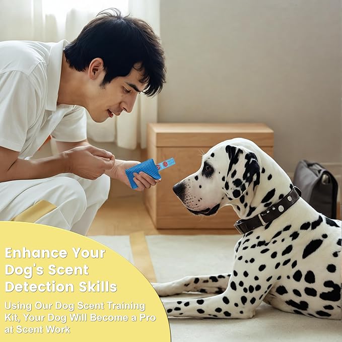 6 Interactive Dog Scent Training Kit Fun | Nose Scent work Games for All Ages Dog, Enhance Dog Brain Games, Scent Work Kit for Dogs, Nose Work for Dogs, Hide and Seek Dog Toys, Dog Scent Training Box