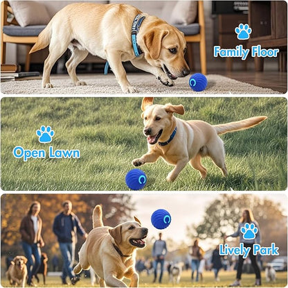 Interactive Dog Ball Toys for Pet Dogs,Smart Electric Small Medium Dog Toys to Keep them Busy,Automatic Rolling Jumping Balls with 2 Cover for Dogs,Rechargeable Pet Interactive Toy Balls,Blue