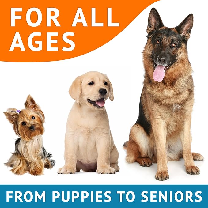 Omega 3 Alaskan Fish Oil Treats for Dogs (360 Ct) - Dry & Itchy Skin Relief + Allergy Support - Shiny Coats - EPA&DHA Fatty Acids - Natural Salmon Oil Chews - Alaskan Salmon Flavor