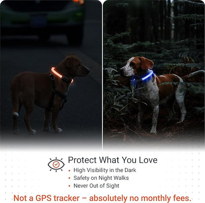 PAJ GPS – PAJ Light – Glowing LED Collar for Dogs – Cut-to-Fit (20–70 cm) – 100% Waterproof – 7 Color Modes – Night Safety & Visibility