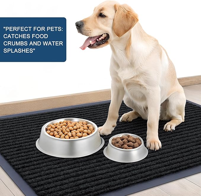 OLANLY Front Door Mat Indoor Outdoor Entrance, Waterproof Heavy Duty Doormat, Fade Resistant, Low Profile, Easy Clean Patio Porch Welcome Floor Mats for Entry, 59x30, Black