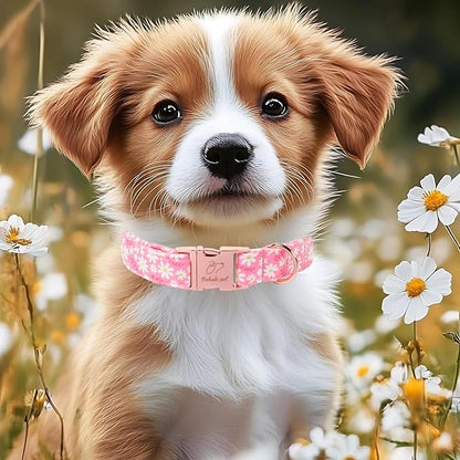 Dainty Daisy Dog Collar, Spring/Summer Pink Floral Girl Dog Collars, Adjustable Heavy Duty Cottagecore Female Dogs Collar for Small Medium Large Dogs with Metal Buckle L