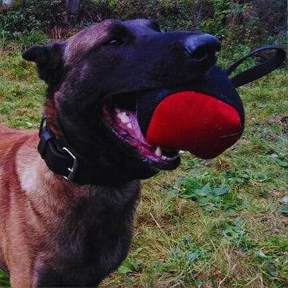 Dingo Gear Dog Tug Toy for Strong Dog, Bite Training, IGP, Fun, French Linen, Big Ball red S02781