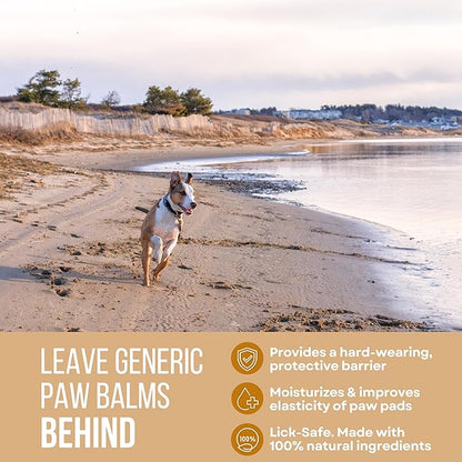 Dog Paw Beach Wax 2oz - Protects Against Sharp Rocks, Hot Sand, Glass, Coral, or Other Hazards at Beaches - Moisturizes and Improves Elasticity - Lick Safe - Natural Ingredients - USA Made