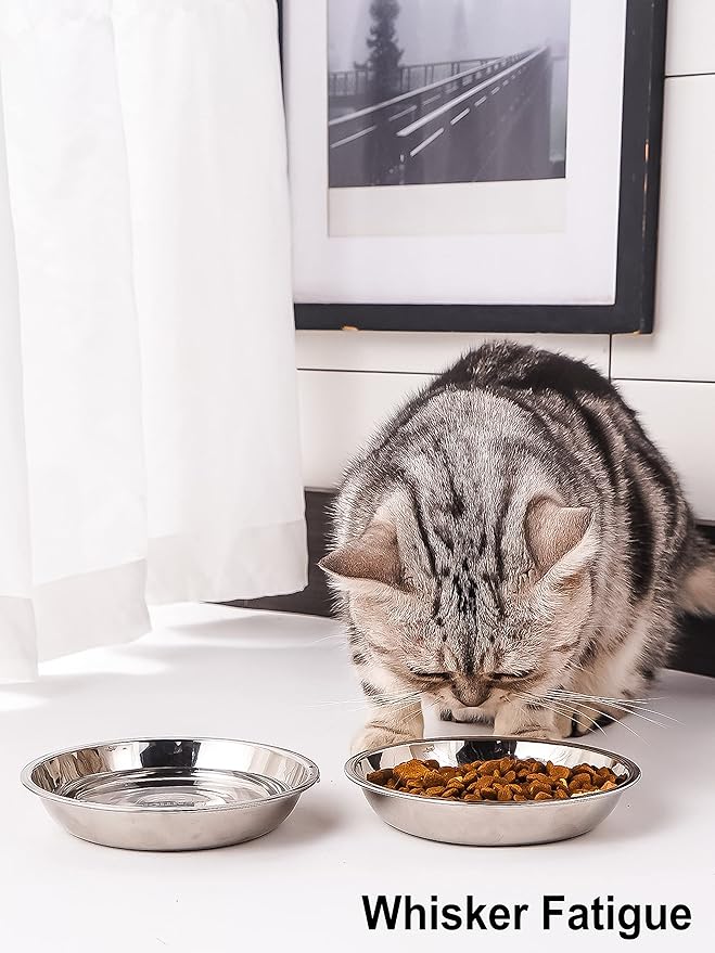 VENTION Small Shallow Cat Food Bowls, Outer Dia. 5 in Whisker Fatigue Cat Bowl, Stainless Steel Cat Food Dish for Indoor Cats, Set of 12 Replacement Cat Bowls for Raised Station(7.4 Fl.oz)