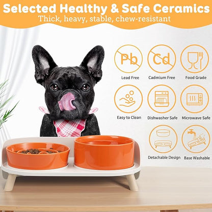 Elevated Slow Feeder Dog Bowls - Ceramic Food and Water Bowl Set with Stand - Raised Pet Dishes for Small and Medium Sized Dogs