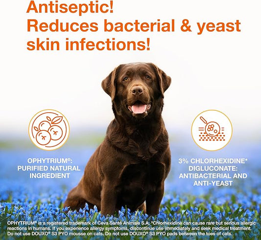 Douxo S3 Pyo Mousse, Contains 3% Chlorhexidine & 0.5% Ophytrium, Antiseptic & Hydrating, for Bacterial or Yeast Skin Infections, for Dogs, 5 fl. oz. (150mL)