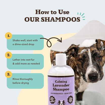Natural Dog Company Calming Lavender Shampoo – Hypoallergenic, Sulfate & Paraben Free – Aloe Vera & Chamomile Soothing Wash for Sensitive, Stressed & Itchy Dogs – All Breeds & Ages – 12 oz