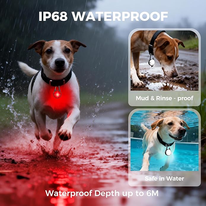 Double Sided Dog Collar Light, 6 Modes LED Pet Collar Clip On, IP68 Waterproof with Rechargeable Safety Light, 2 Pack Dog Lights for Night Walking, Camping, Running, Cycling