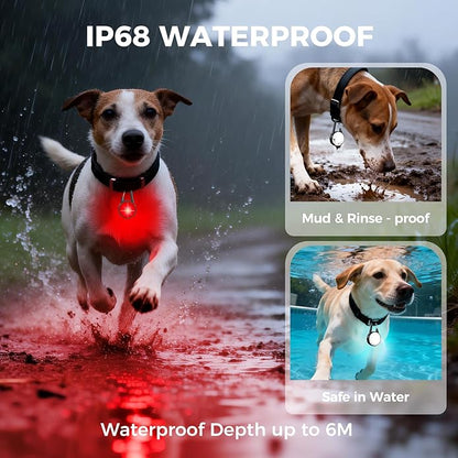Double Sided Dog Collar Light, 6 Modes LED Pet Collar Clip On, IP68 Waterproof with Rechargeable Safety Light, 2 Pack Dog Lights for Night Walking, Camping, Running, Cycling