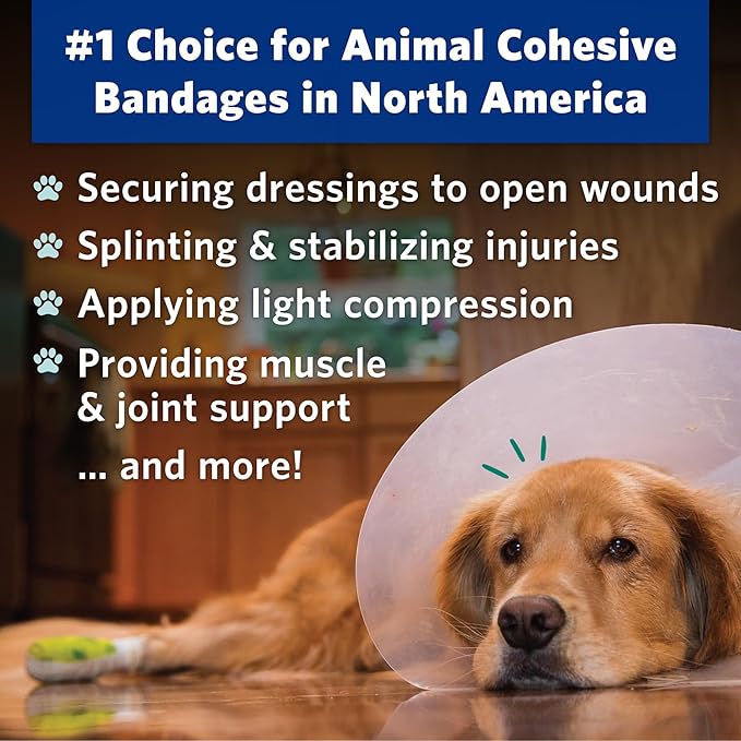 PetFlex Paw Pack – Flexible Self-Adhering Elastic Bandage for Wound Care – First Aid Wrap for Small Animals Like Dogs, Cats, and Other Pets - 2 inch, 36 Rolls