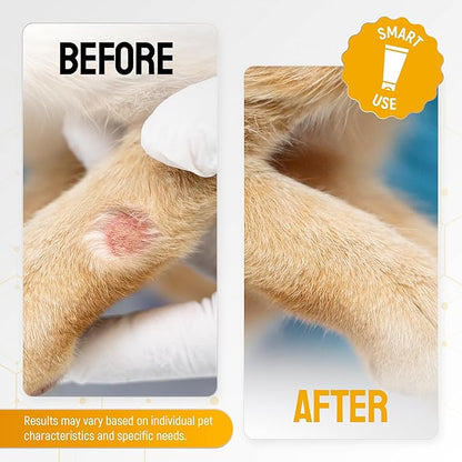 Cat Wound Care Gel for Scratches, Bites & Irritations – Hot Spot Treatment for Cats & Kittens – Honey Wound Repair Ointment in Gel Form with Colloidal Silver & Manuka Honey for Topical Use – 2 Oz Tube
