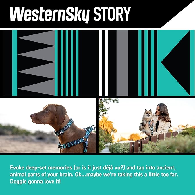 Wolfgang Heavy Duty, Adjustable Dog Collar with Quick Release Nylon Buckle for Walking & Training, WesternSky Print, Small