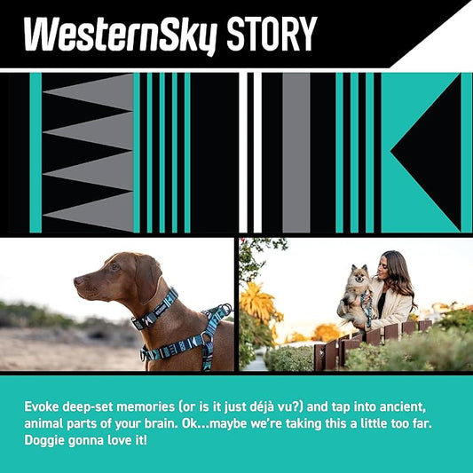 Wolfgang Heavy Duty, Adjustable Dog Collar with Quick Release Nylon Buckle for Walking & Training, WesternSky Print, Medium