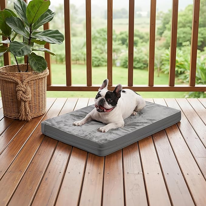 Waterproof Small Dog Bed Crate Pad 24 inch, Outdoor Washable Puppy Bed Orthopedic with Removable Cover Reversible, Foam Cat Bed Kennel Pad 23" x17, Durable Anti-Slip Bottom, Gray