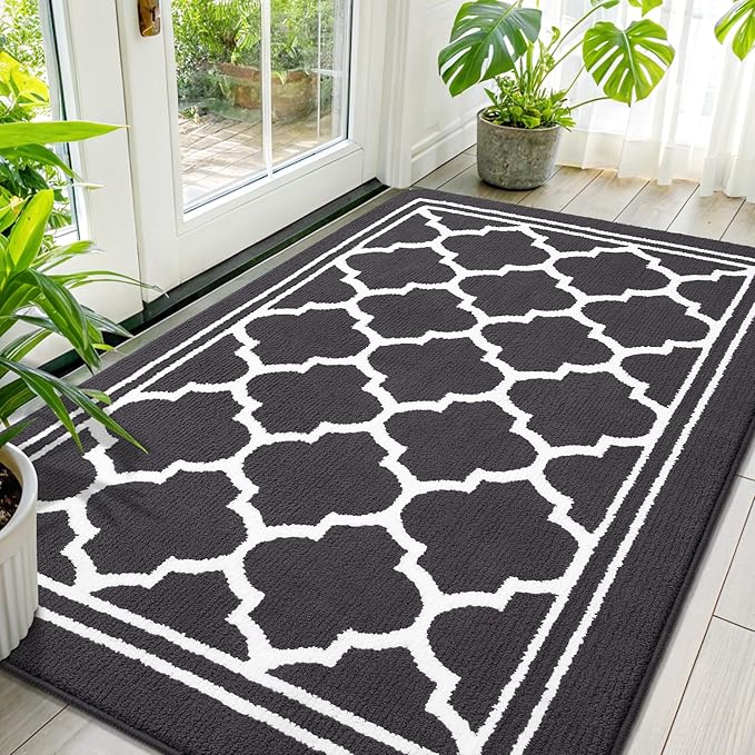 Buganda Large Indoor Door Mat, Dirt-Resistant and Absorbent Doormat, Anti-Slip, Low Profile Floor Mats for Inside Entryway, Front, and Back Door Entrance (59x35 Inches, Dark Grey)