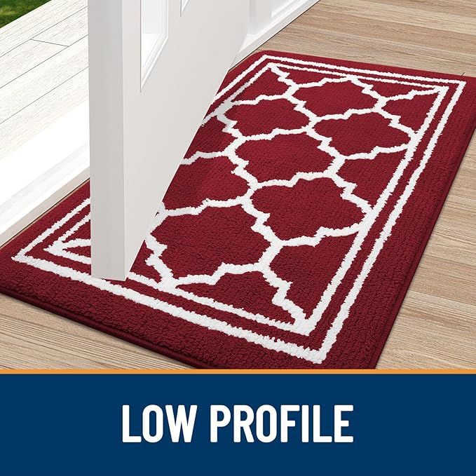 Buganda Indoor Door Mat, Dirt-Resistant and Absorbent Doormat, Anti-Slip, Low Profile Floor Mats for Inside Entryway, Front, and Back Door Entrance (48x32 Inches, Burgundy)