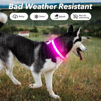 Visinite LED Dog Collar USB Rechargeable, Reflective Light Up Pet Collar for Night Walking, Adjustable Glow Collar for Small Medium Large Dogs (Pink, M)