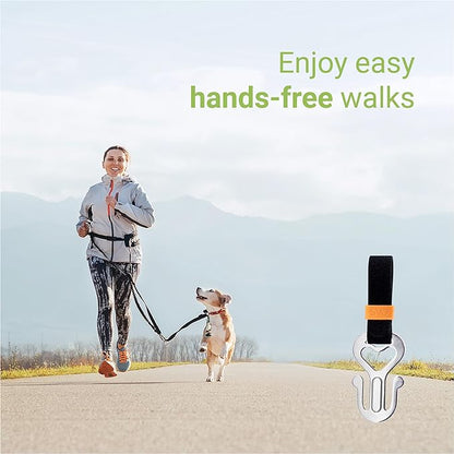SVD.PET Dog Poop Bag Holder, Stainless Steel Waste Bag Holder, Dog Poop Bag Carrier, Hand Free Holder (Metal)