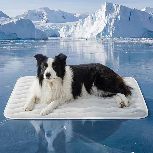 Bedsure Cooling Dog Mat Extra Large - Q-Max>0.4 XL Thin Breathable Cold Crate Pad Indoor for Pets with Chill Cool Fiber and Non-Slip Bottom，Portable Washable Kennel Mat in Outdoor Summer, 41x28, Grey