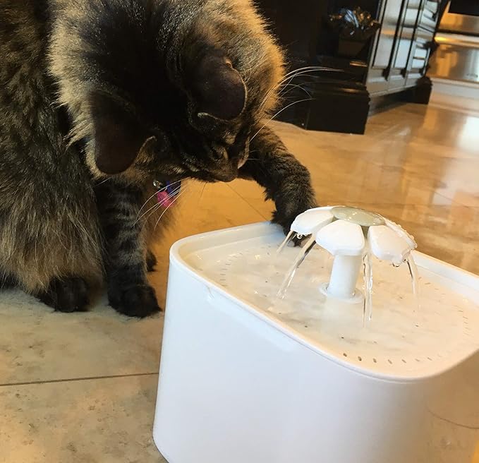 2.0L Pet Fountain Vers 2