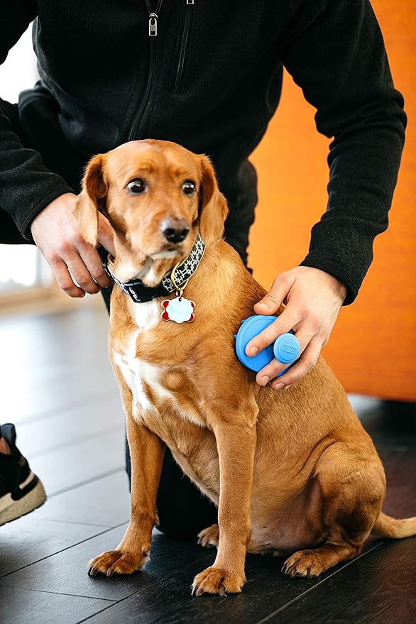 Dexas BrushBuster Silicone Gentle Dog Grooming and Massage Brush