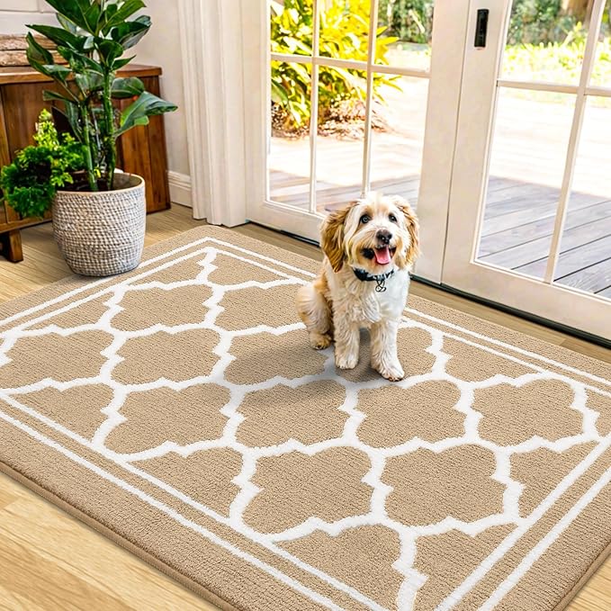 Buganda Indoor Door Mat, Dirt-Resistant and Absorbent Doormat, Anti-Slip, Low Profile Floor Mats for Inside Entryway, Front, and Back Door Entrance (48x32 Inches, Beige)