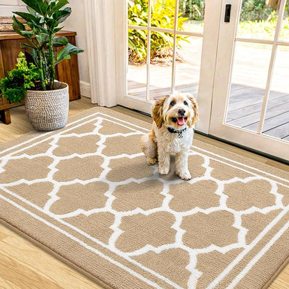 Buganda Indoor Door Mat, Dirt-Resistant and Absorbent Doormat, Anti-Slip, Low Profile Floor Mats for Inside Entryway, Front, and Back Door Entrance (48x32 Inches, Beige)