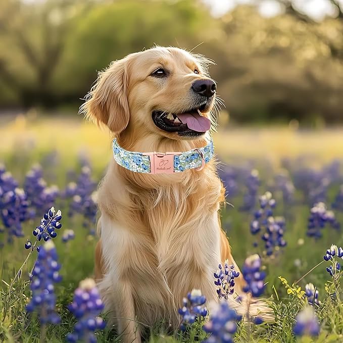 Blueberry Garden Dog Collar, Spring/Summer Cottagecore Floral Dog Collars, Adjustable Heavy Duty Girl Dogs Collar for Small Medium Large Dogs with Metal Buckle XL