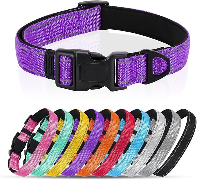 Reflective Dog Collar with Quick Release Buckle - Metal Ring - Adjustable Soft Neoprene Padded Basic Dog Collar for Small Medium Large Dogs (Purple, Large :Width 1",Neck 15.7-23.6")