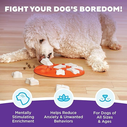 Outward Hound by Nina Ottosson Dog Smart Treat Puzzle Enrichment Toy, Level 1 Beginner, Orange