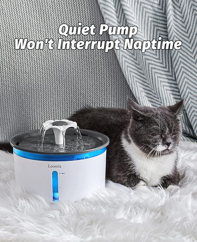 Loomla Cat Water Fountain, 85oz/2.5L Pet Water Fountain Indoor, Automatic Dog Water Dispenser with Switchable LED Lights, 2 Replacement Filters for Cats, Dogs, Pets (Dark Gray)