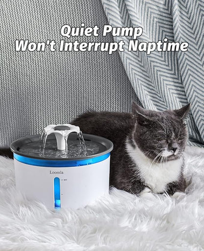 Loomla Cat Water Fountain, 85oz/2.5L Pet Water Fountain Indoor, Automatic Dog Water Dispenser with Switchable LED Lights, 2 Replacement Filters for Cats, Dogs, Pets (Dark Gray)