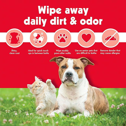 Petkin Mega PetWipes, 200 Wipes - Grooming Pet Wipes for Dogs and Cats - for Face, Paws, Ears, Body and Eye Area - Super Convenient Dog Cleaning Wipes, Ideal for Home or Travel - Easy to Use