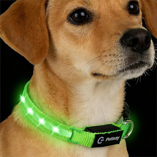 LED Dog Collar for Small Dogs Cats - Fully Waterproof & Adjustable Glow Collar - USB-C Rechargeable for Night Walking, Safety - Flashing Lighted Collar for Dogs(Green,XS)