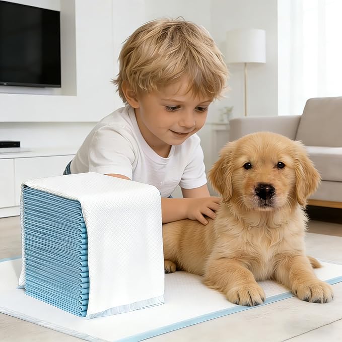 IMMCUTE 100 Count Premium Puppy Pads, 22"x23" Dog Pee Pads – Ultra-Soft Heat-Sealed, 6-Layer Leak-Proof & Super Absorbent Potty Training Pads for Dogs, Cats, Pets | Crate Training & Indoor Use, Blue