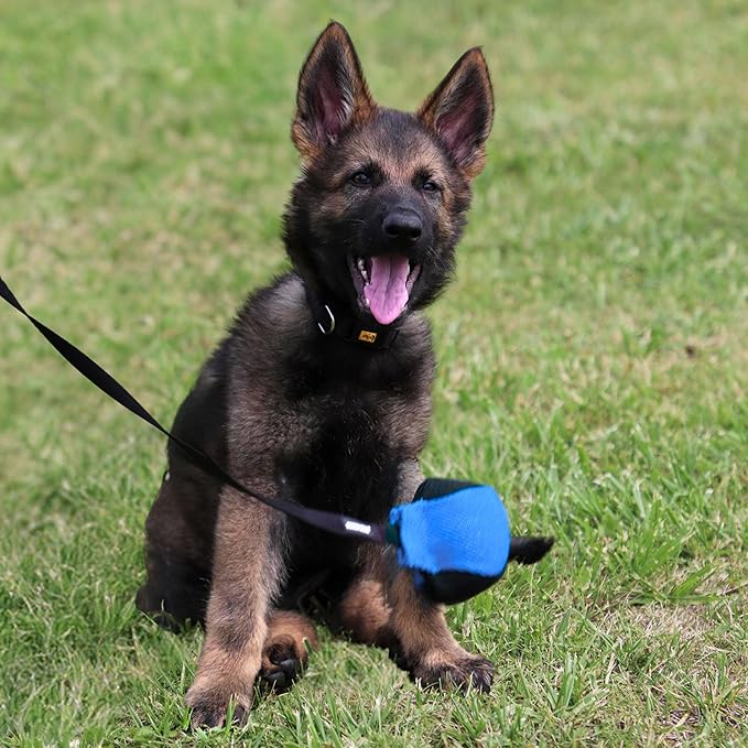 Dingo Gear French Linen Ball for Dog Training, as Reward for Fetch tug of war, with Long Handle, Handmade, Blue-Black S02815