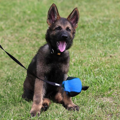 Dingo Gear French Linen Ball for Dog Training, as Reward for Fetch tug of war, with Long Handle, Handmade, Blue-Black S02815