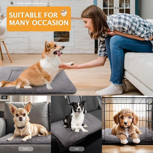 Reversible Dog Bed Mat with Plush and Corn Velvet,Soft Warm Pet Cushion, Dual Purpose Washable Sleeping Mattress Bed for Small Medium Large Dog and Cat XB004 (18 * 13", Light Grey)