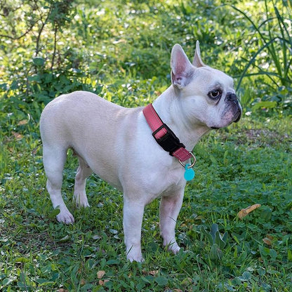 Reflective Dog Collar Padded with Soft Neoprene Breathable Adjustable Nylon Dog Collars for Small Medium Large Dogs (Small (Pack of 1), Pink Collar+Leash)