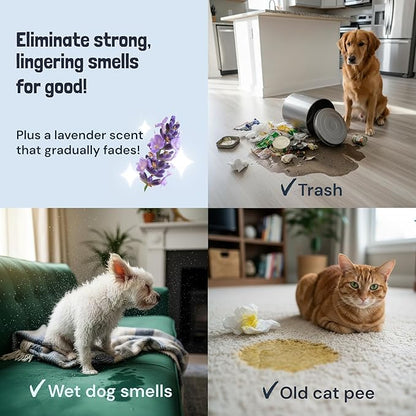 Sunny & Honey Pet Stain and Odor Remover - Enzyme Cleaner for Dog Urine and Poop on Carpets and Furniture - Strong Pet Carpet Cleaner Spray (32fl oz Lavender)